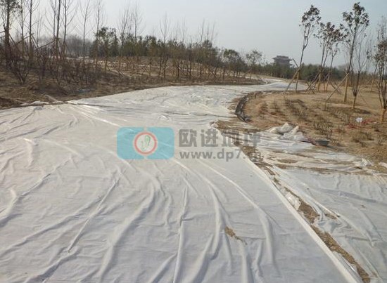 彩色生態(tài)透水混凝土地坪-歐進建材www.yxshs.cn